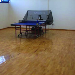 Lau Kapali Sport Salonu Parke-Table Tennis