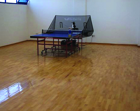 Lau Kapali Sport Salonu Parke-Table Tennis