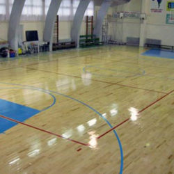 PUSKIN Sports Hall