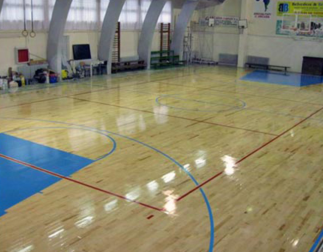 PUSKIN Sports Hall