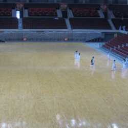 ShenZhen Sports Center