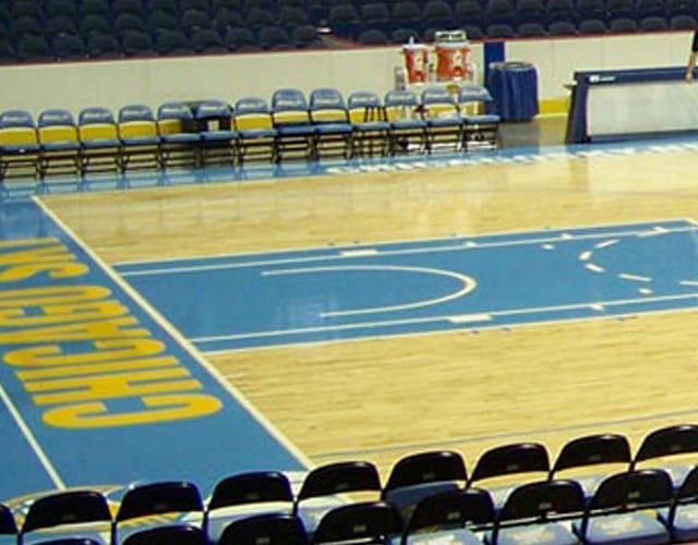 WNBA Chicago Sky