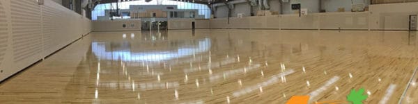 Australian Institute of sports hardwood courts