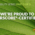 Why We’re Proud to Be FloorScore®-Certified