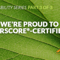 Why We’re Proud to Be FloorScore®-Certified