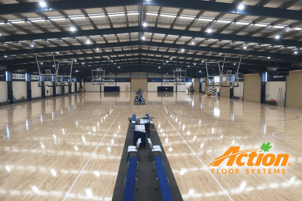 geelong basketball in austrailia