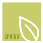 spring graphic with leaf