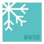 winter icon with snow flake