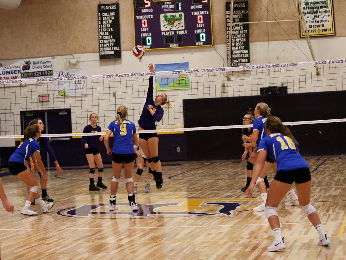 volleyball court hardwood floors