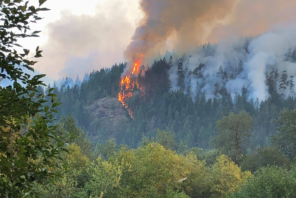 Forest Fires at Olympia National Forest 2018