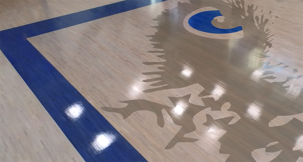 blue and grey maple sports floor